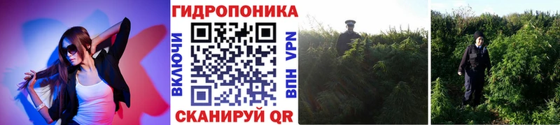 Купить наркотики цена Кашира Кокаин  Героин  АМФЕТАМИН  ГАШ  Меф  Каннабис 