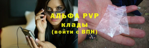 ГАЛЛЮЦИНОГЕННЫЕ ГРИБЫ Гатчина
