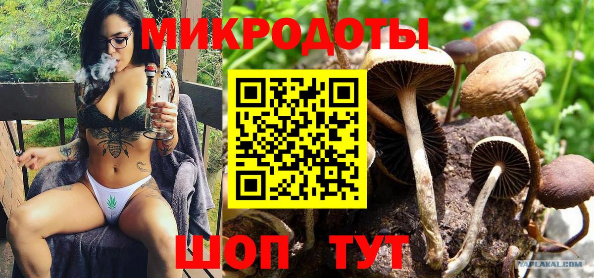 Псилоцибиновые грибы мицелий  Вход с VPN  Кашира 